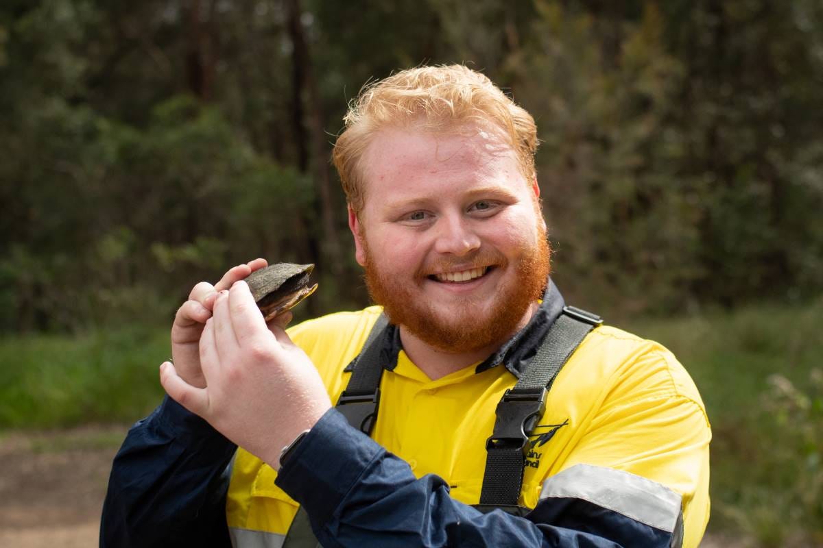 will goodwin bmcc will goodwin bmcc