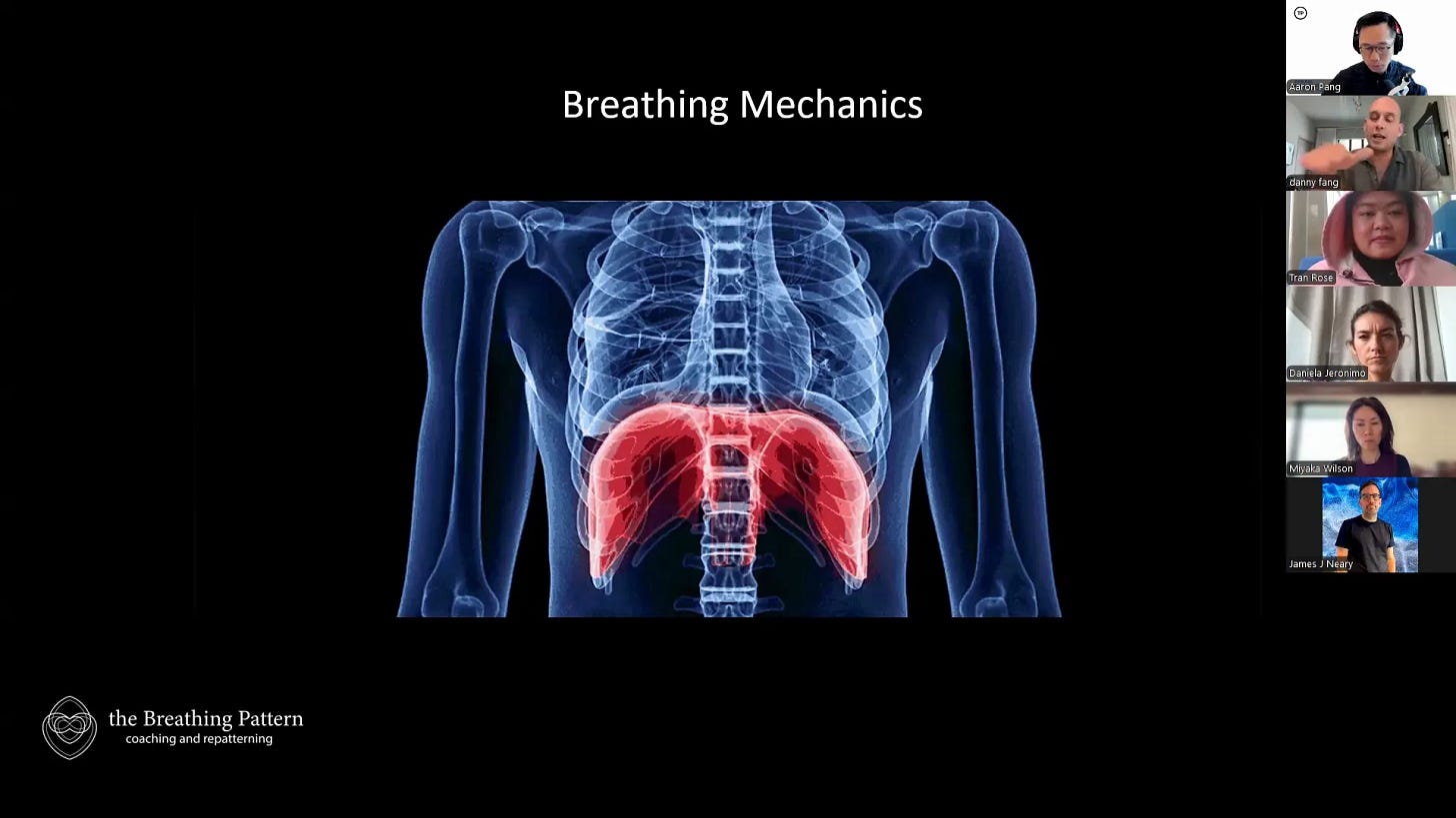 Visualization of balanced breathing exercise Visualization of balanced breathing exercise