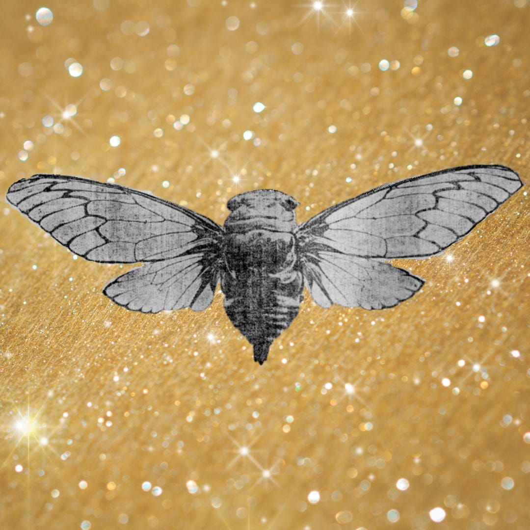 The Little Detroit History Letter