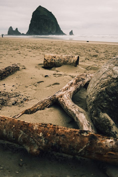 Fuji photographs of life by Tyler Knott Gregson