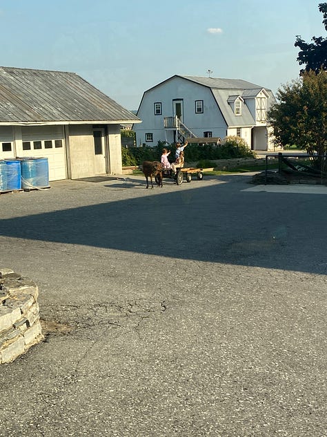 During my recent visit to The Amish Village in Lancaster, Pennsylvania, when I tried to take photos, the Amish children waved their hands to the opposite side—a gentle yet firm way of signaling their wish to remain unseen by modern technology. It’s a gesture rooted in their deep respect for tradition. As the Amish proverb says, 'A good example is the best sermon.' 🙌🚫📸