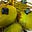 amphisbaena's avatar