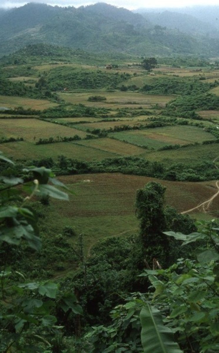 vietnam 452