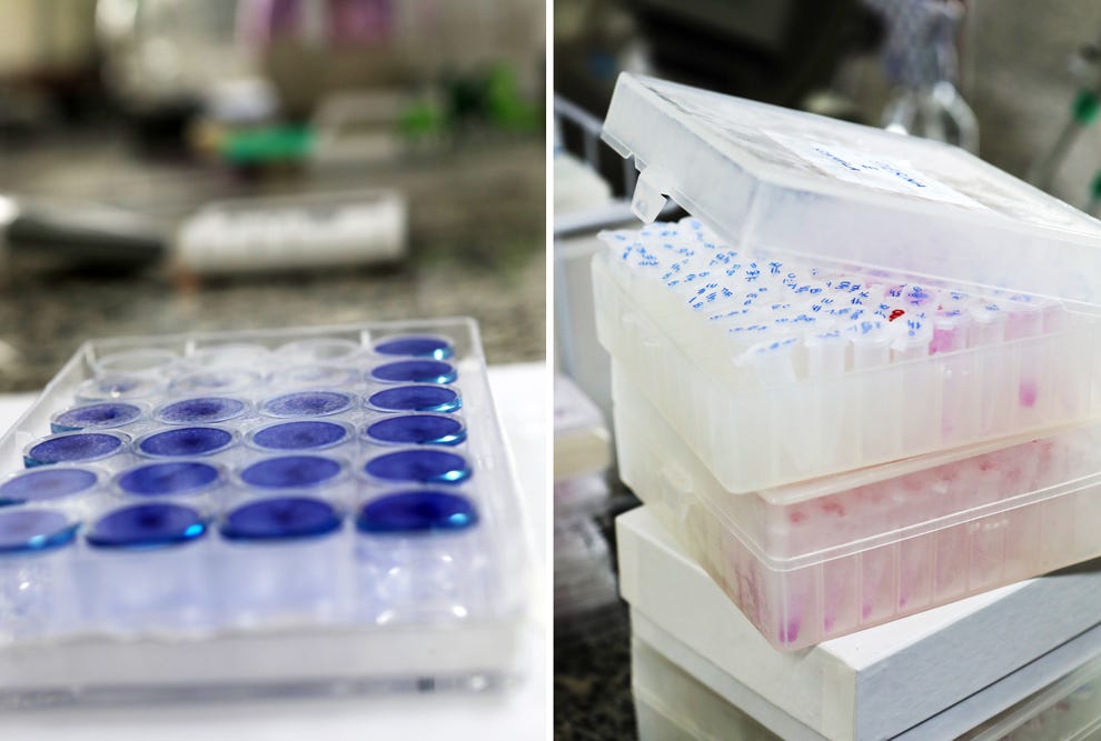 Vírus passou a ser incluído nos protocolos de testagem