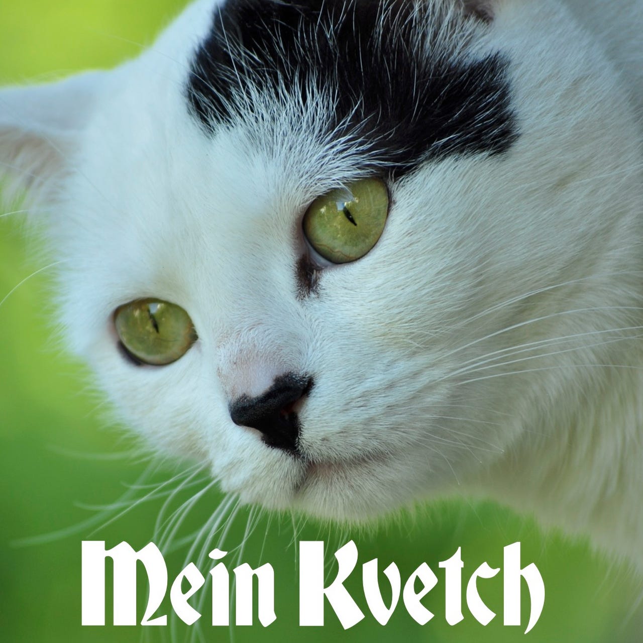 Mein Kvetch