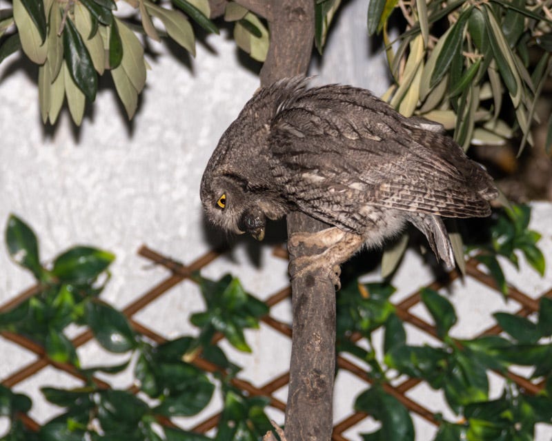 20230510-misc-20-Enhanced-NR.jpg 20230510-misc-20-Enhanced-NR.jpg