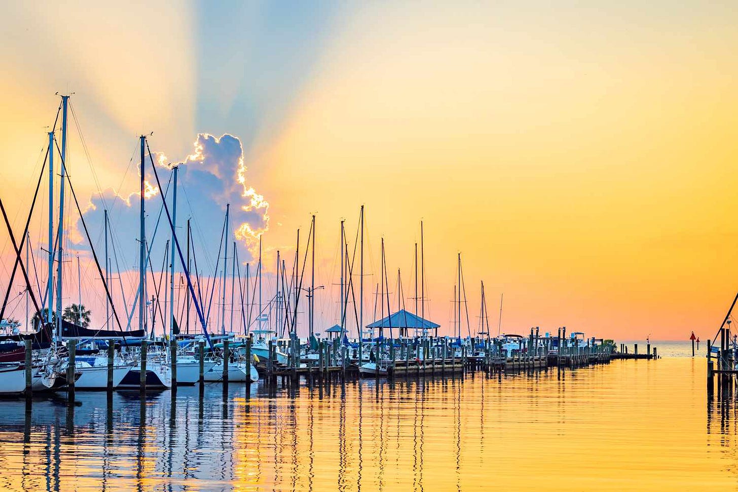 Fairhope, Alabama, Restaurant Picks By Rick Bragg Fairhope, Alabama, Restaurant Picks By Rick Bragg