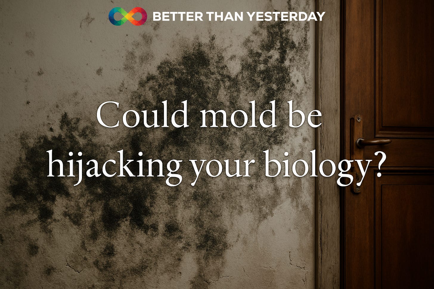mold biohacking mold biohacking