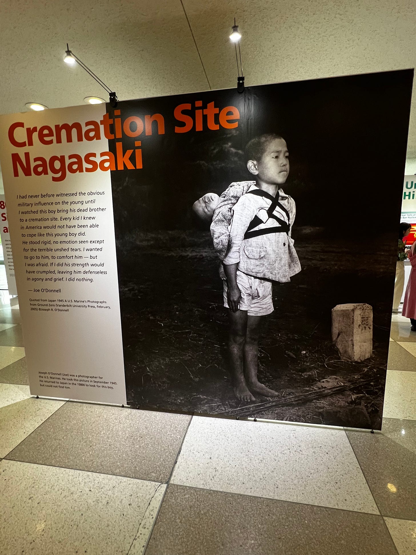 picture of a boy carrying his dead brother for cremation