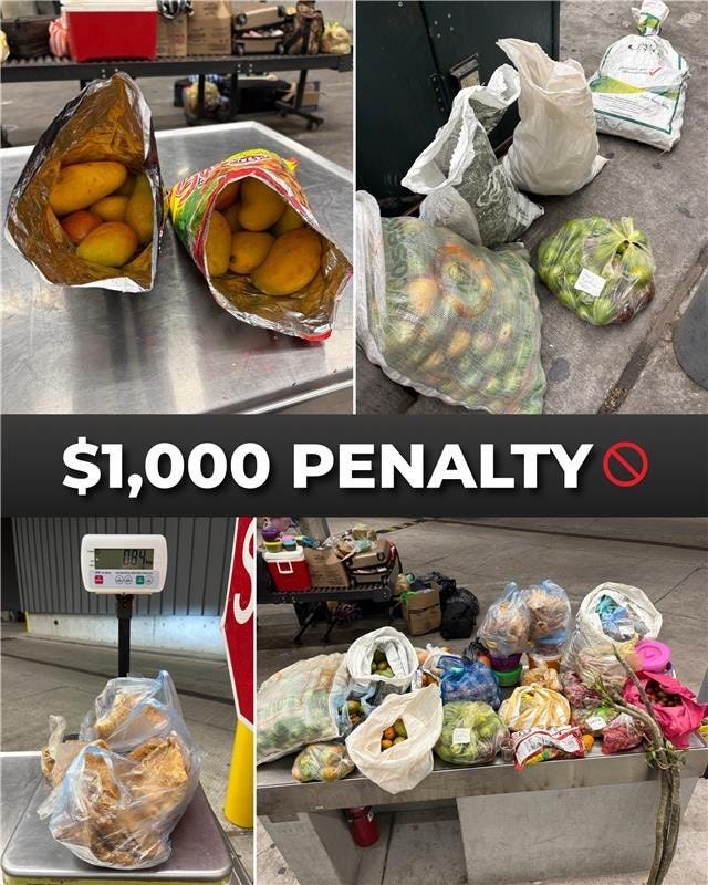 This large haul of forbidden fruit, which a traveler tried to smuggle from Mexico into Texas, resulted in a large fine on May 18, 2026. (US Customs & Border Protection photos & graphic) This large haul of forbidden fruit, which a traveler tried to smuggle from Mexico into Texas, resulted in a large fine on May 18, 2026. (US Customs & Border Protection photos & graphic)
