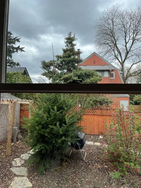 Homeowners insurance canceled due to yard debris Homeowners insurance canceled due to yard debris