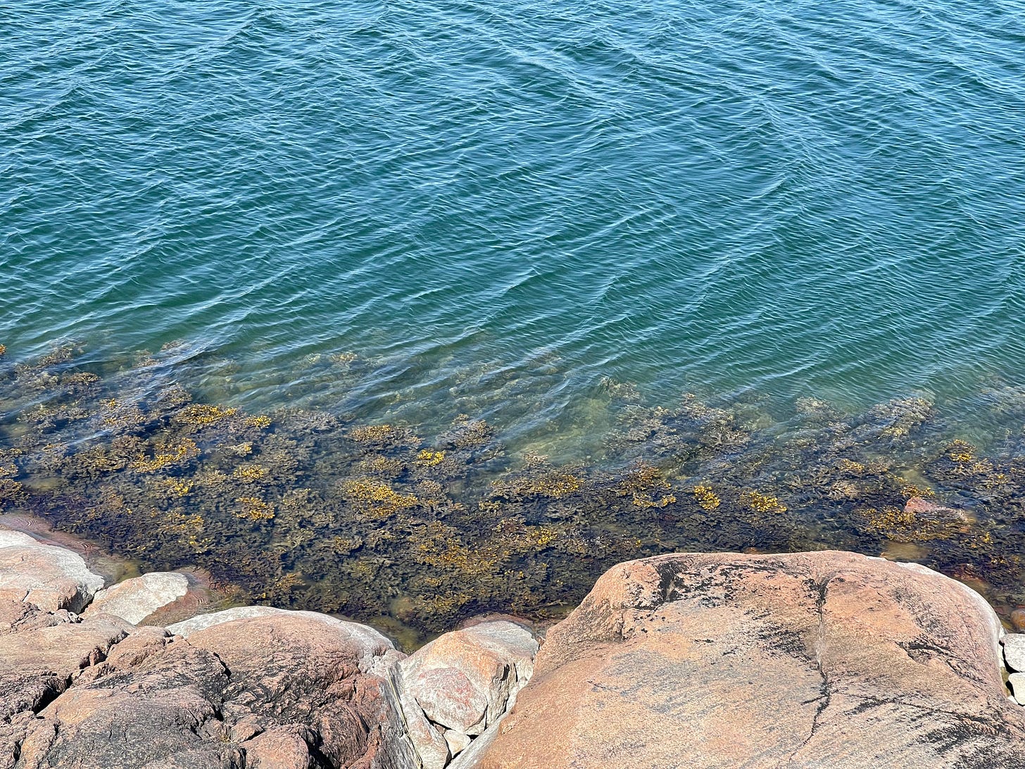 Green-blue water lapping against arge light pink rocks with brown seaweed just under the water's surface