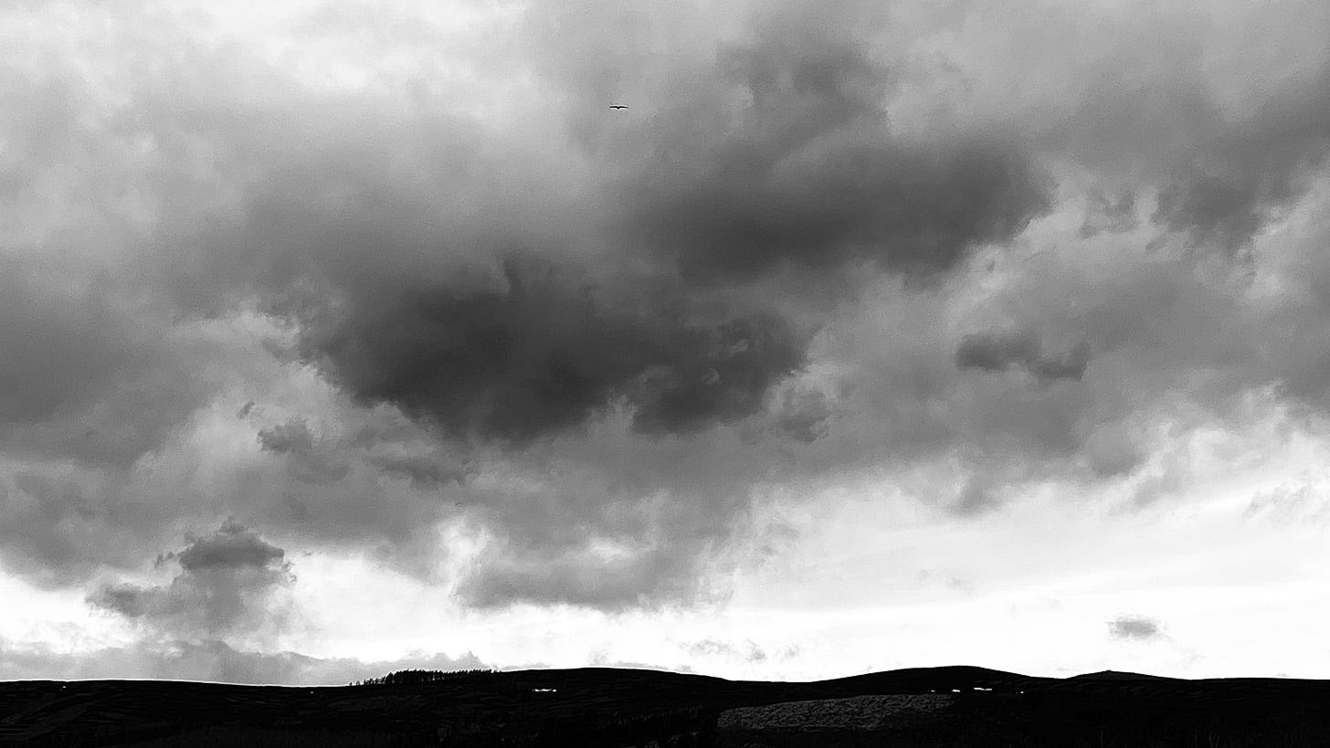 Rising smoke from muirburn mingles with cloud above the Grampian Hills. Photo by artist Michela Griffith. 
