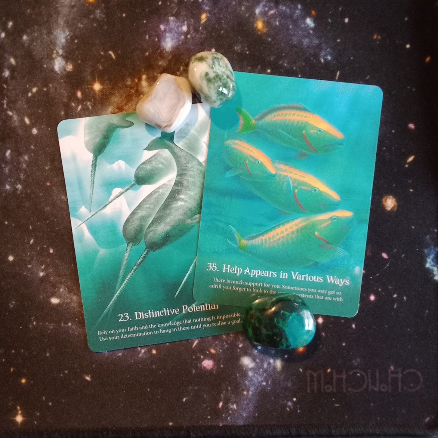 A Message From the Universe ~ Stay the Course! Multiple Whispers of the Ocean Oracle Cards A Message From the Universe ~ Stay the Course! Multiple Whispers of the Ocean Oracle Cards