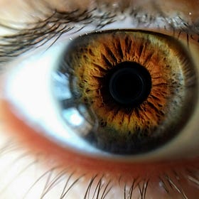 Recovered Memories: The Floater in Your Eye