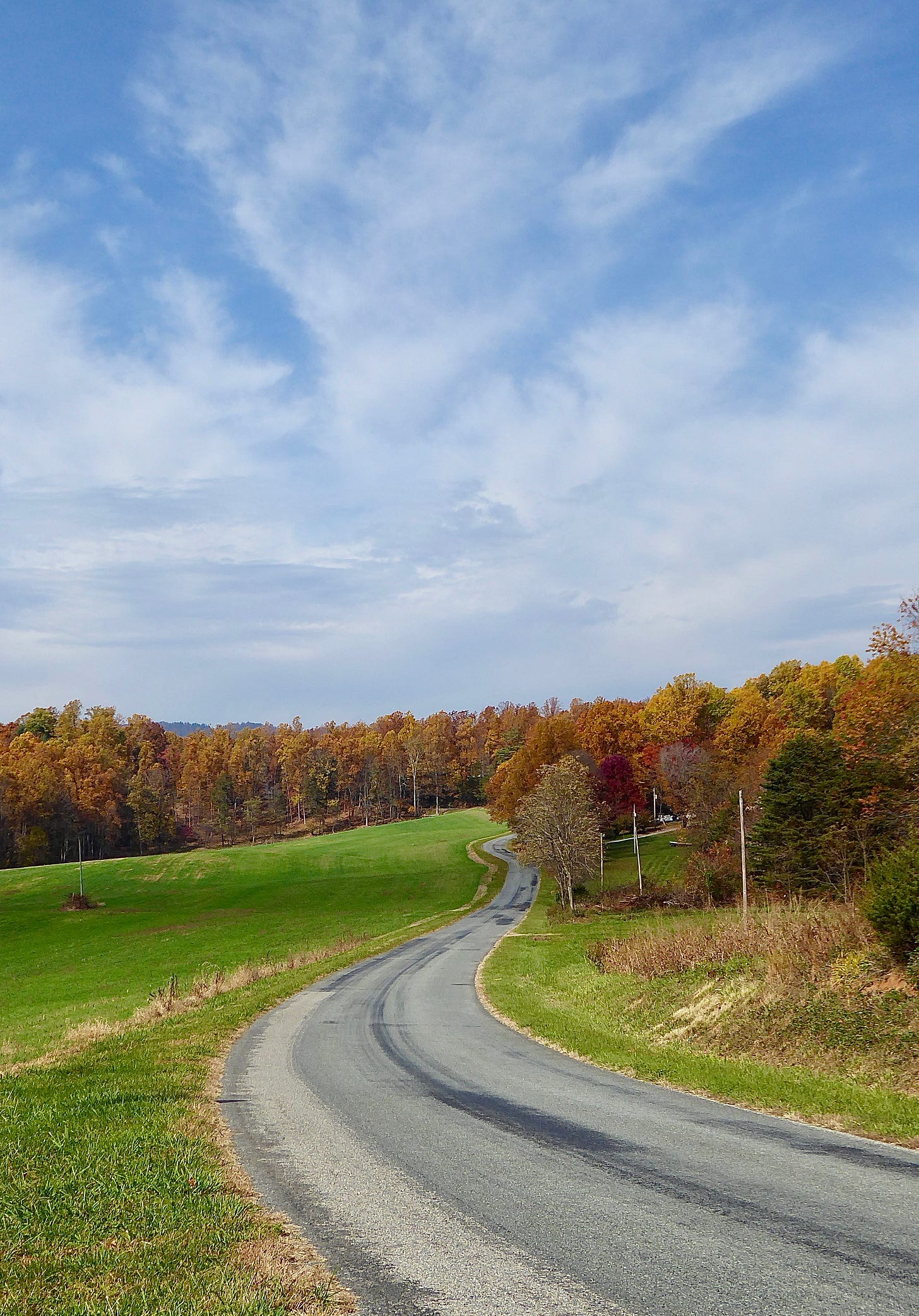A winding country road on a gorgeous fall day. Trees of oranges and gold with some green and red. Still left of the road is a Greenfield. To the right is woods.