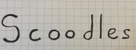 Scoodles