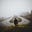 WritingCrossroads's avatar