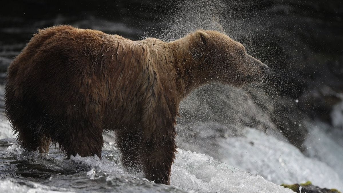 Canon descontinua EOS 5D Mark IV - Canon Europe Canon descontinua EOS 5D Mark IV - Canon Europe