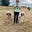 Kath Shaw's avatar