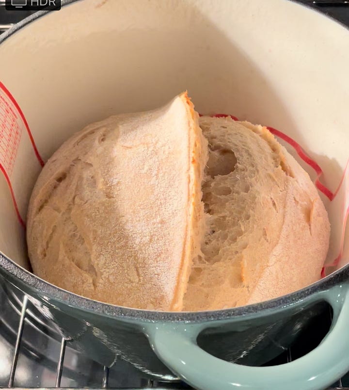 107 yr old rye sourdough starter, cooked sourdough, white bakers flour