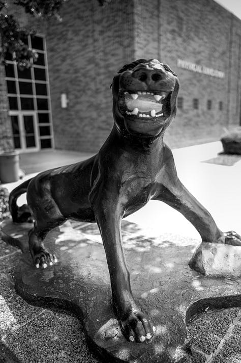 campus buildings and mascot