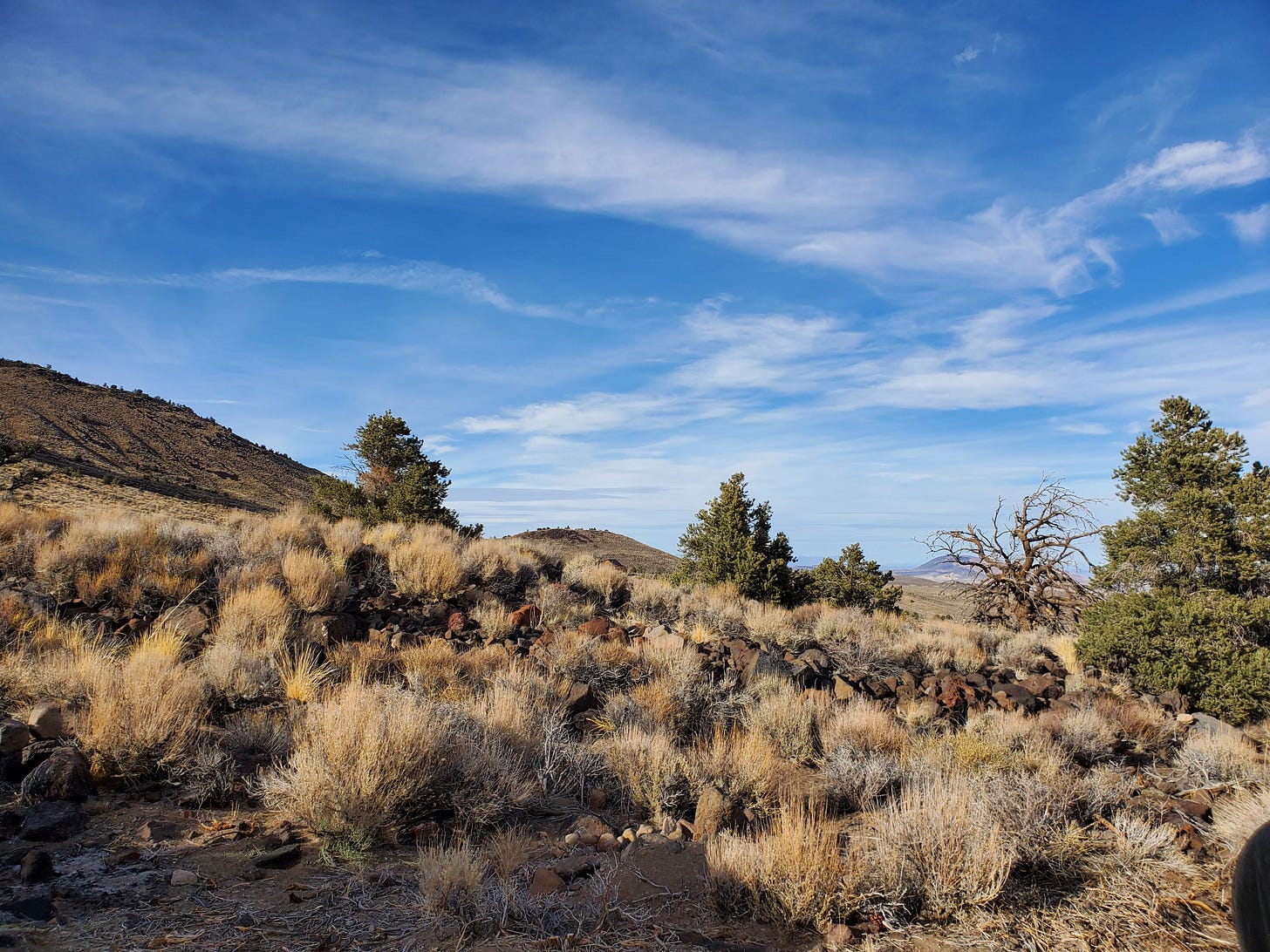 Landscape shot showing sage brush in the foreground and blue skies and white clouds in the distance.