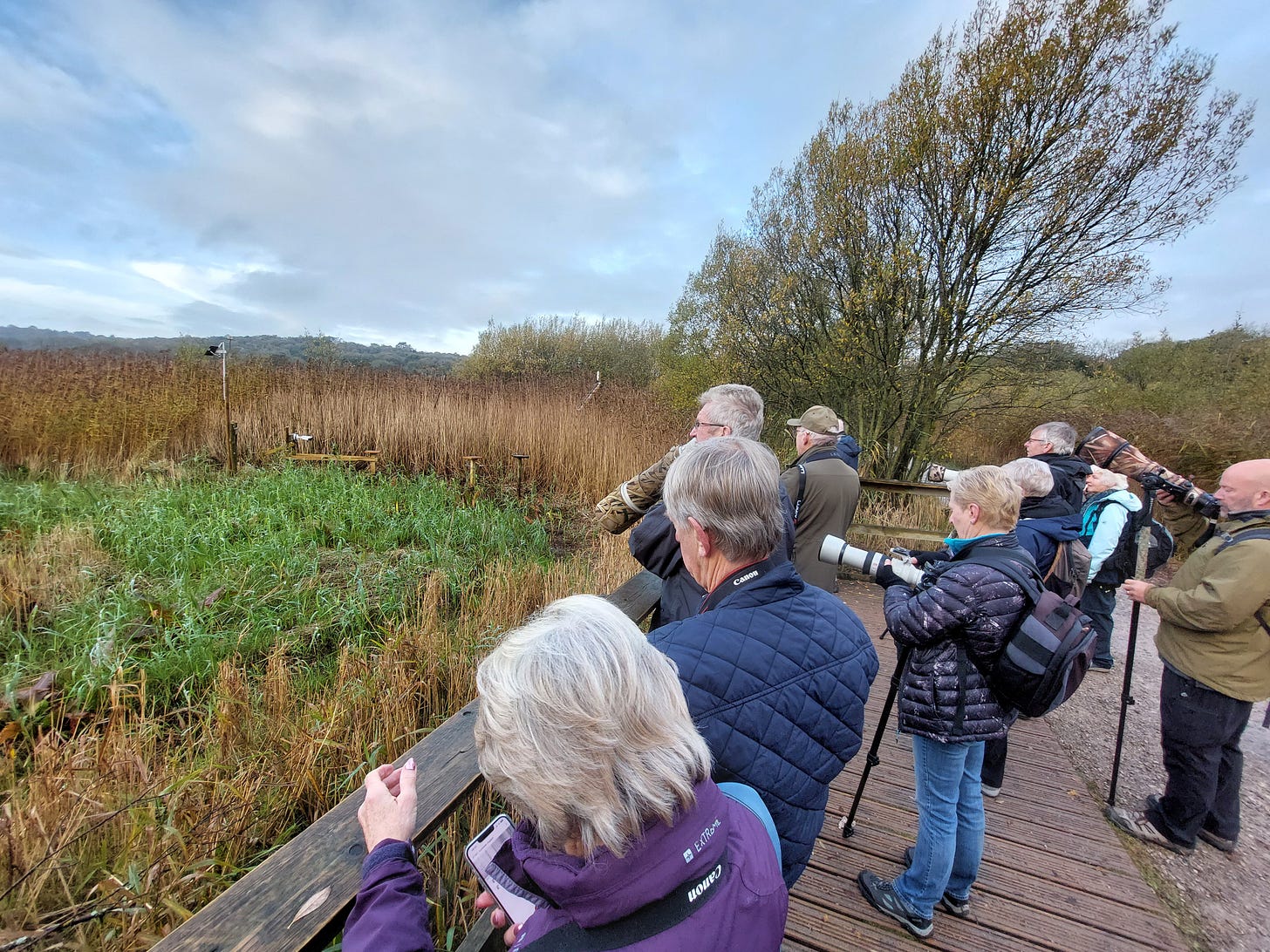 Wide shot of a group of people looking at empty grit trays they are waiting with long lensed camera and binoculars Wide shot of a group of people looking at empty grit trays they are waiting with long lensed camera and binoculars