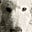 Harobed's avatar