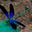 Paul Torek's avatar