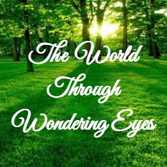 The World Through Wondering Eyes