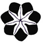 Huachuma Collective's avatar