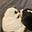 Shay's avatar