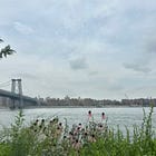 Tiny Little Joys of Summer in New York