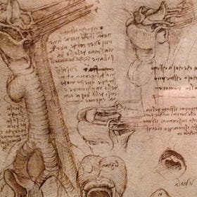 Quante competenze professionali dovresti sviluppare?