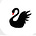 Blackswanshares's avatar
