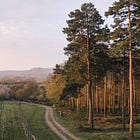 Issue #100 On Losing Part of Yourself