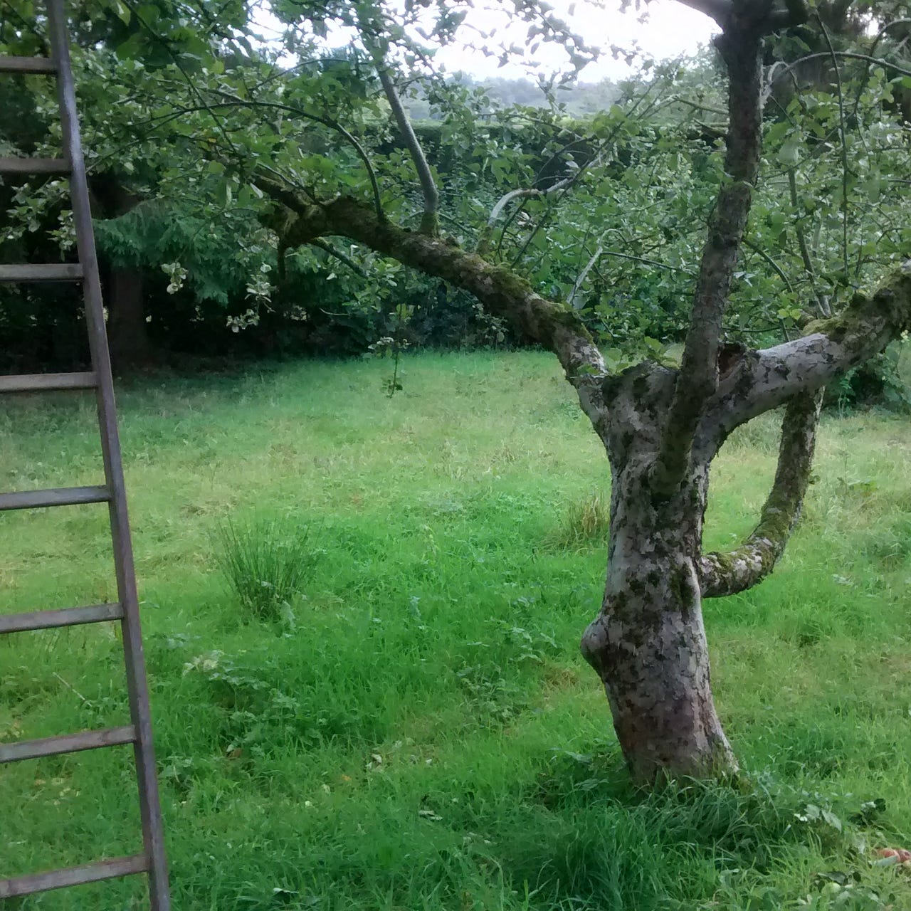 Artwork for Poems and Stories