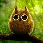 BigOwl's avatar
