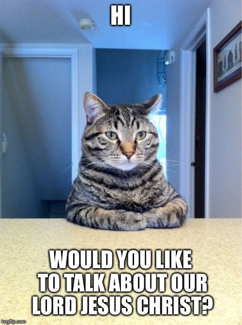 This cat looks like a little Mormon - Imgflip