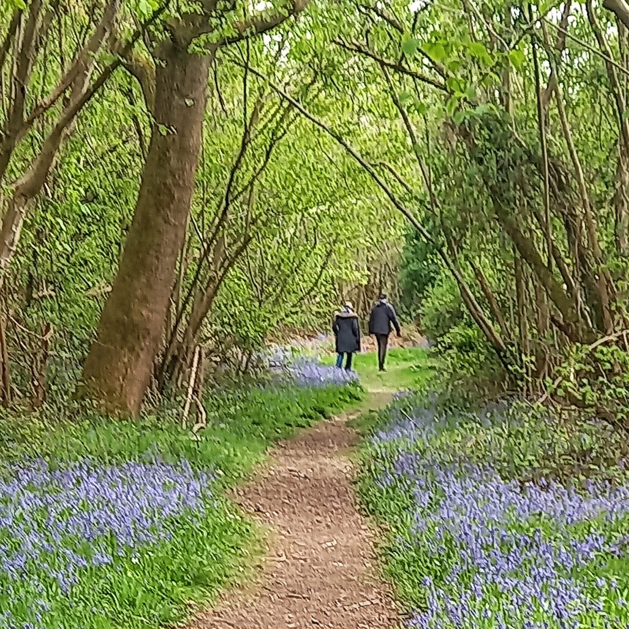 Helen’s Footstep Conversations.