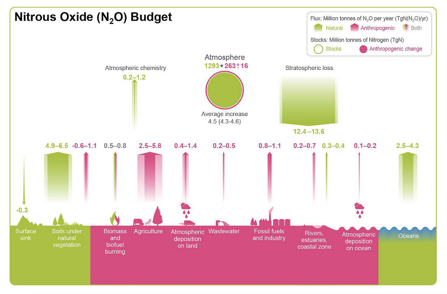 Nitrogen cycle Nitrogen cycle