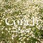 Conch Books's avatar