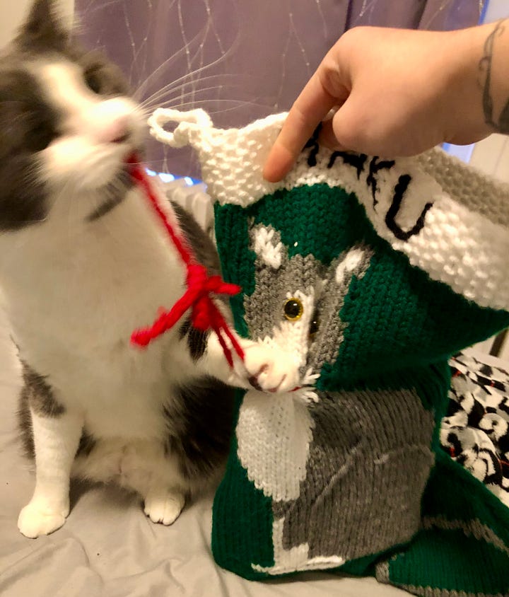 A green knitted Christmas stocking with a grey and white tuxedo cat with a red bow around its neck. It is held up next to a real grey and white tuxedo cat who, in the first photo, has his mouth open as if to bite the stocking, and in the second photo, is pulling at the red ribbon with his teeth.