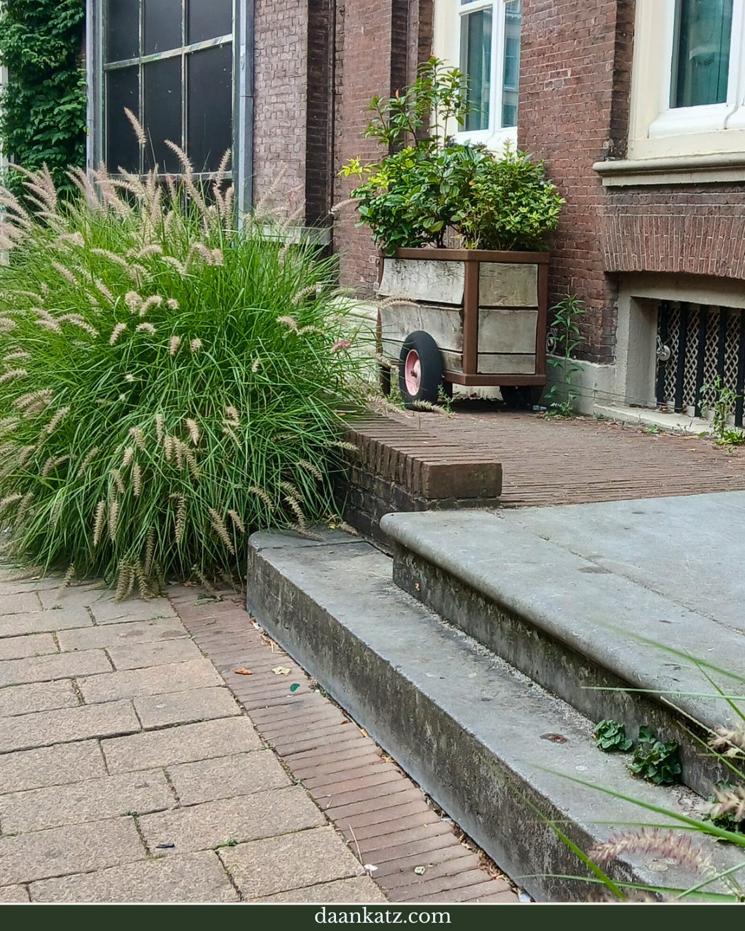 Large ornamental grass grows beside a short set of stone steps leading to a brick building, with a planter on a trolley nearby.