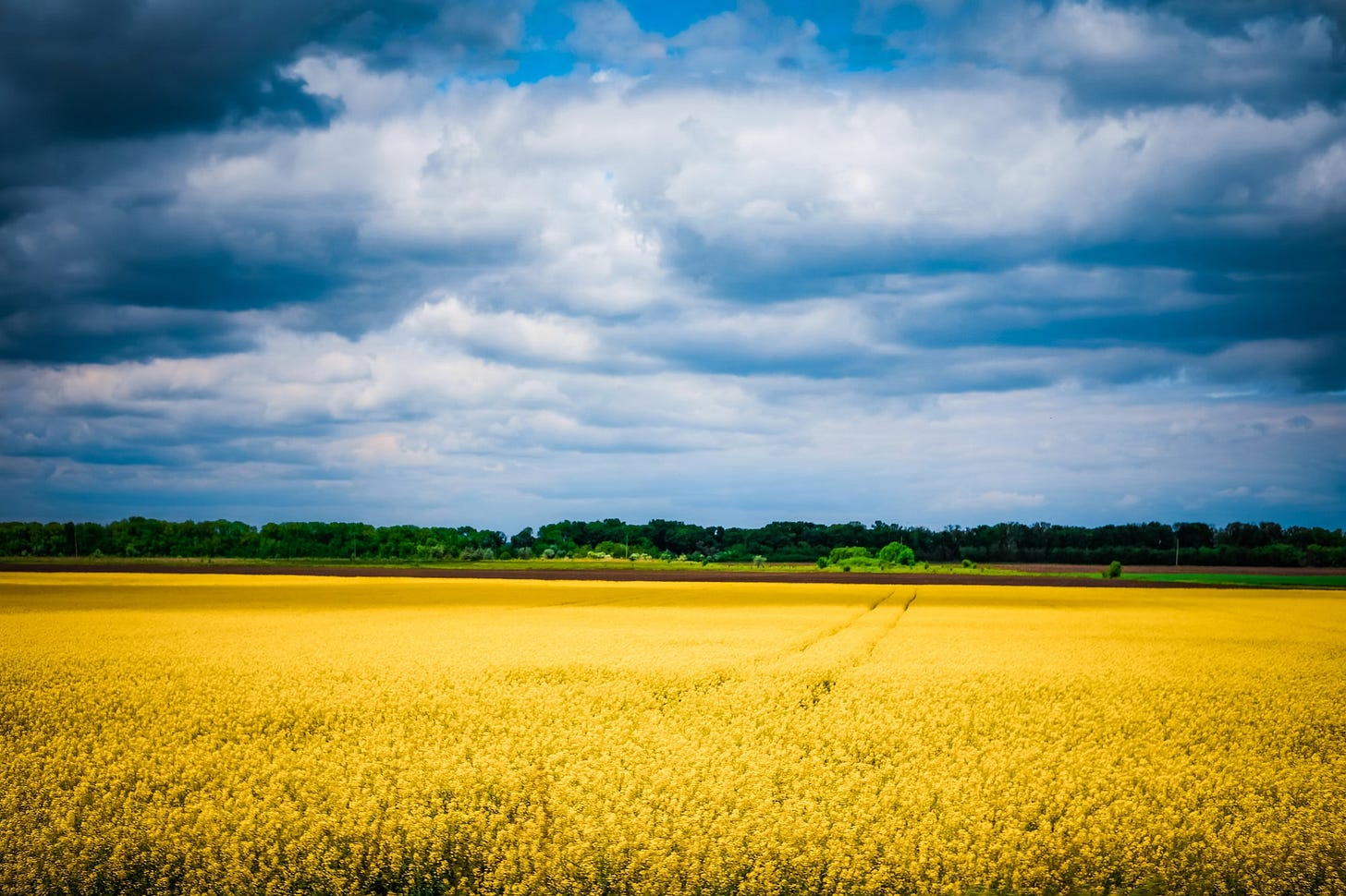 Creators' Corner #4 - supporting Ukraine, Write of Passage, Twitter lists
