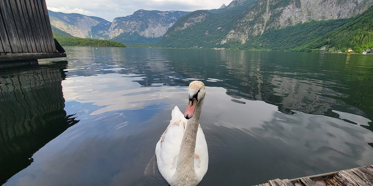 CHAPTER 18: Echoes of the Stomach