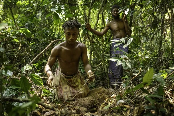 People and nature: UNESCO safeguarding life and heritage | UNESCO