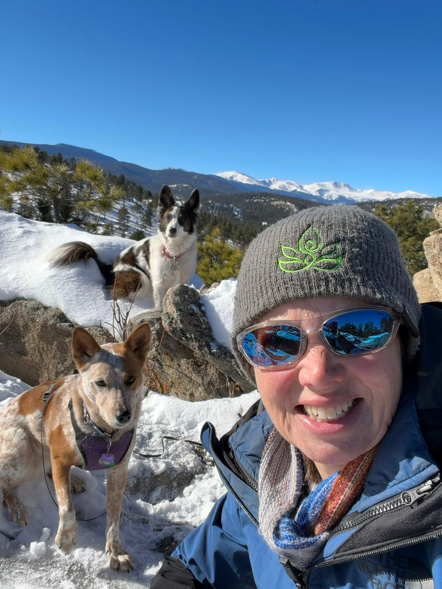 two dogs and a woman on top of a mountain