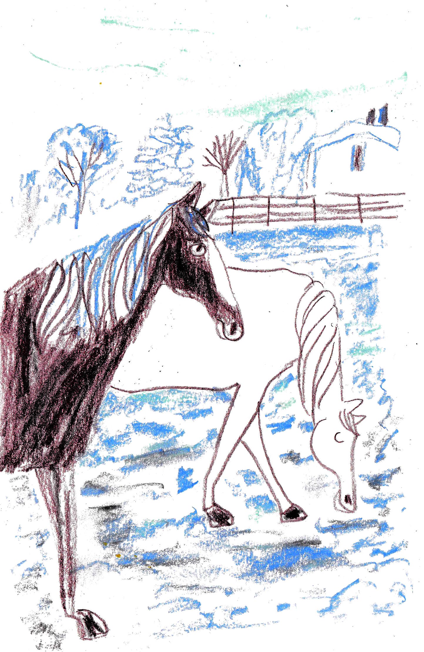 horses illustrated by Beth Spencer
